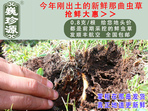 rx(chng)Ĳ շb 0.8/r(ji)80Ԫ/