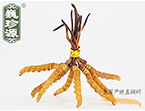 x(chng)Ĳ2.5l/ ڲ x؛r(ji)252Ԫ/